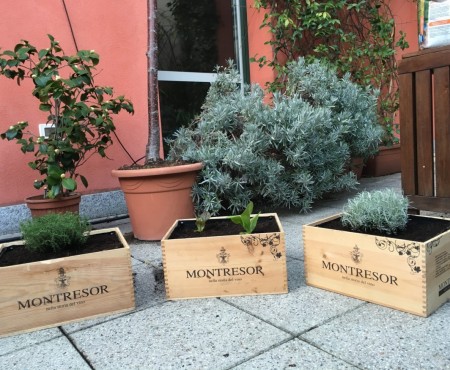 L’orto urbano in una cassetta di prosecco!