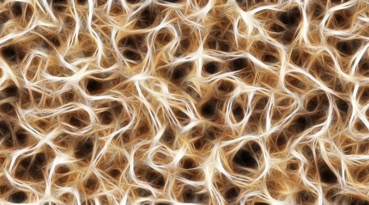 Che cosa è la Programmazione Neuro-Linguistica?