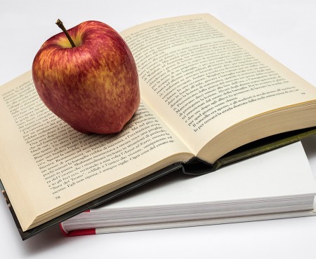 RapidaMente: Con la sola forza del pensiero