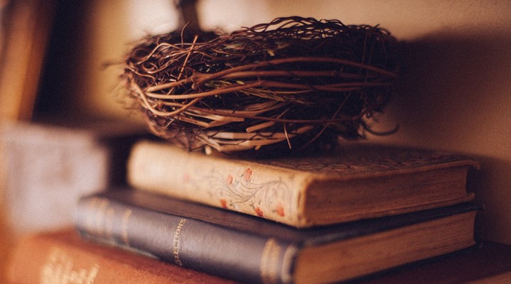 Un viaggio alla scoperta di sè