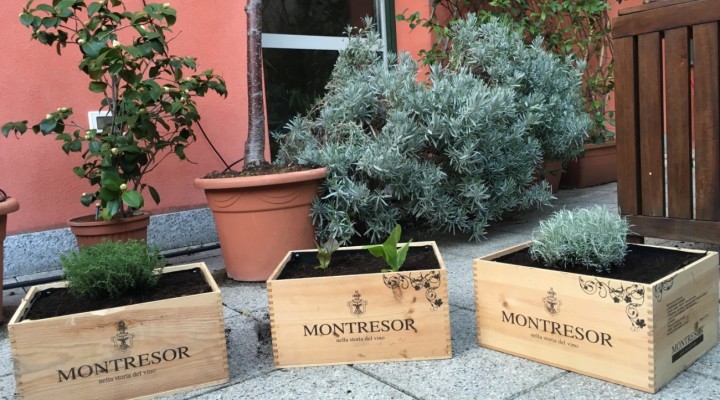 L’orto urbano in una cassetta di prosecco!