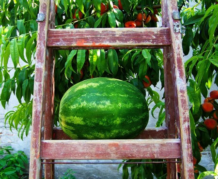 Alla ricerca di refrigerio: piccoli spunti cittadini